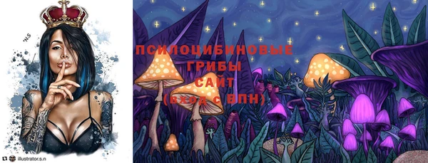 МДПВ Инта