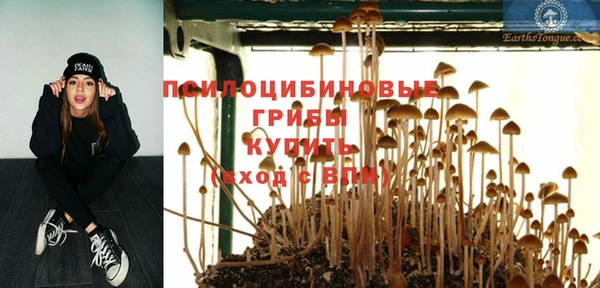 прущая мука Инсар
