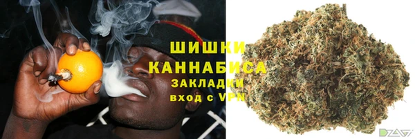 МДПВ Инта